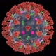 Coronavirus model (360°) - VideoHive Item for Sale