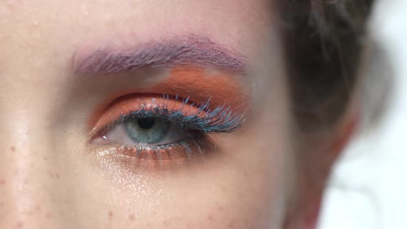 Eye Makeup Macro.