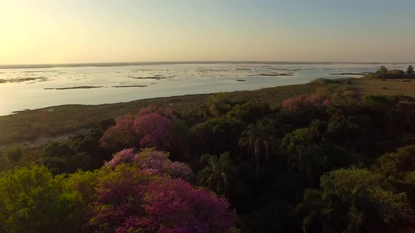 Scenic aerial view of lake in Ibera Wetlands, Corrientes Province, Argentina