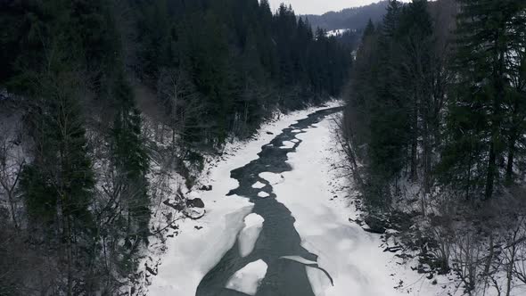 Aerial View in Winter on a Mountain River with a Forest During a Snowfall