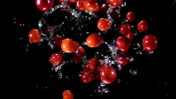 Bright Cherries Fly Up with Splashes of Water 