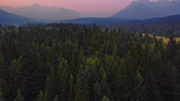 Mountains and forest in the evening