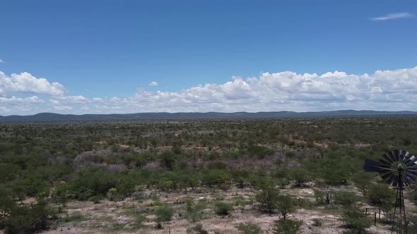 Stunning savannah covered with trees, mountains and blue sky on the background