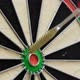 darts game in detail - VideoHive Item for Sale