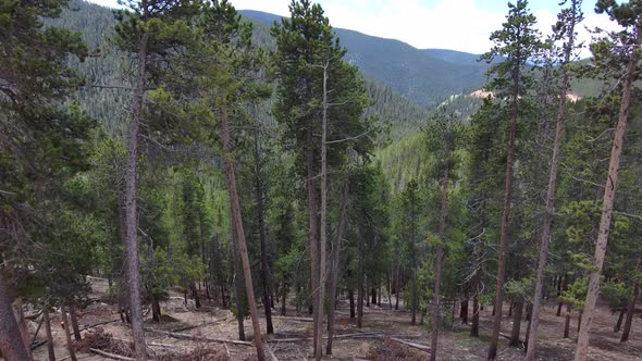 Tennessee Pass in Colorado near Leadville. 2021