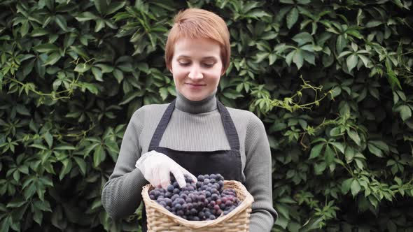 Happy Young Farmer Female is Holding a Box of Organic Grapes Look at the Camera and Smiling