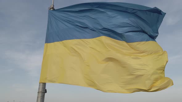 Flag of Ukraine in the Wind. Kyiv. Flat, Gray