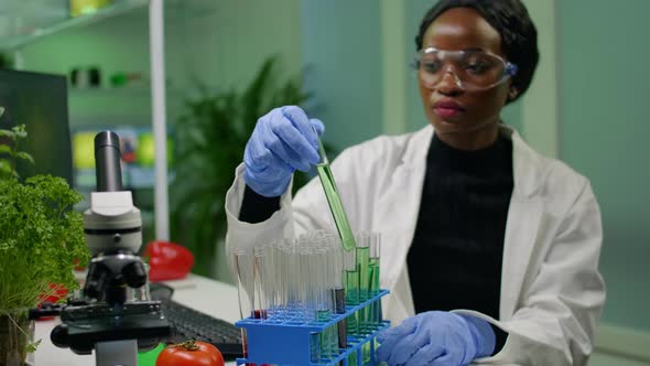African Botanist Researcher Checking Test Tubes with Dna Test Liquid