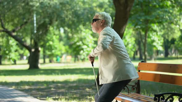 Old Blind Man Getting Up From Bench, Walking in Park Using Cane to Clear Pathway