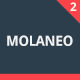 Molaneo - Multi-Purpose Muse Theme - ThemeForest Item for Sale