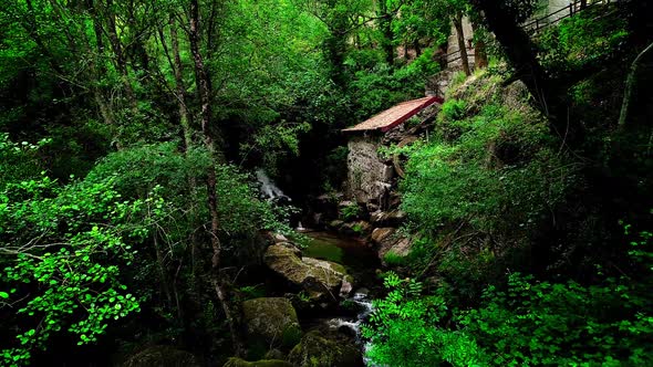 Watermill in Green Forest