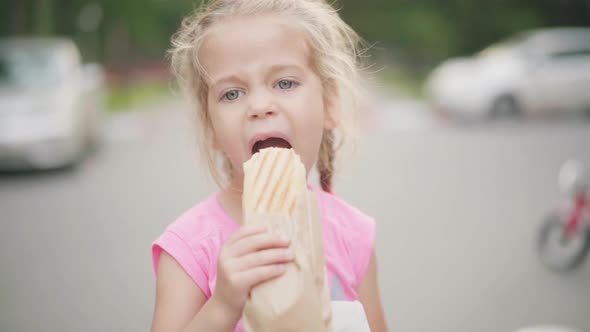 Little Girl Eat Hot Dog Summer Park Food And Drink Concept