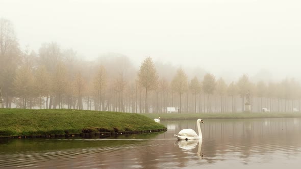 Autumn foggy morning on the lake in the Schwerin castle park