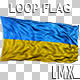 Ukrainian Loop Flag - VideoHive Item for Sale