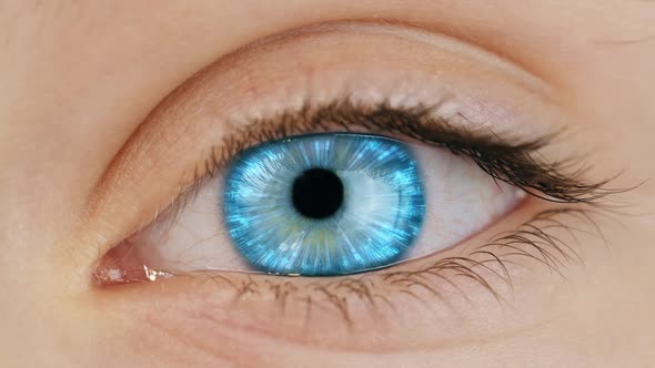 Bionic Eye Closeup View