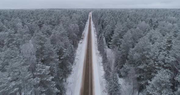 Winter Road in the Forest