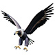 Eagle - 3DOcean Item for Sale