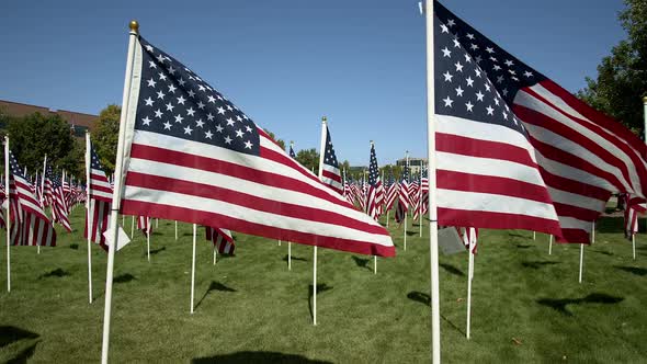 Slow motion of flags waving in the wind