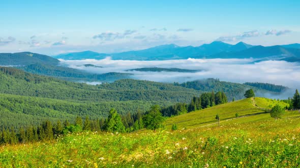 Misty Morning in the Mountains