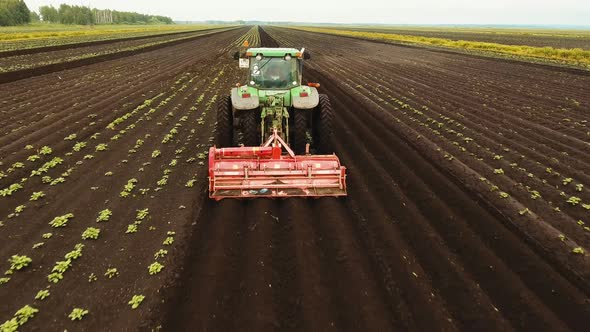 Tractor Cultivates the Land in the Field