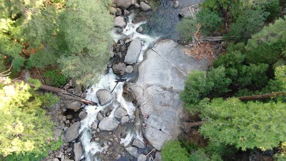 Top down drone 4K shot of a flowing river in the wilderness of sierra nevada mountains with trees an