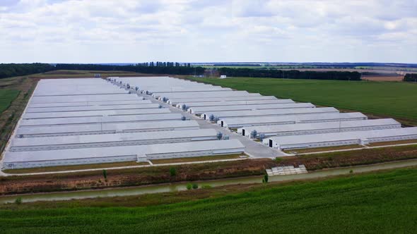 Aerial view of industrial chicken house. Modern farm poultry buildings. Agriculture
