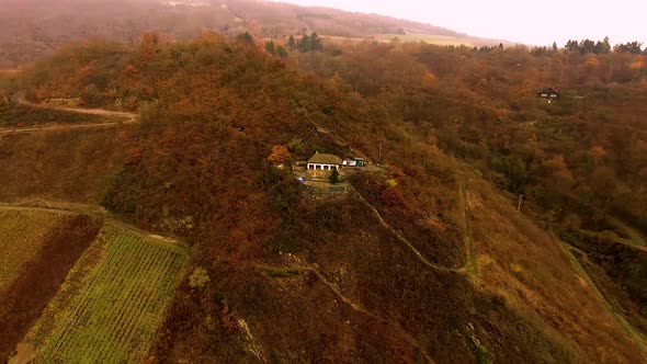 Small house in the vineyards on a mountain