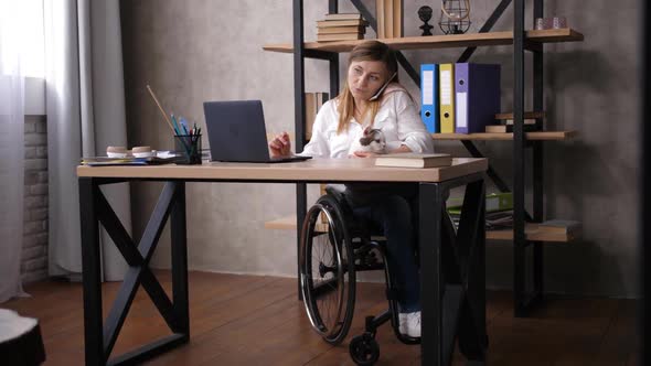 Disabled Woman on Wheelchair Telecommuting at Home