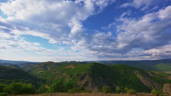 Green Forest and Puffy Clouds