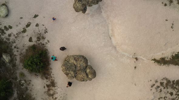 The Natural Phenomenon Stone Mushrooms