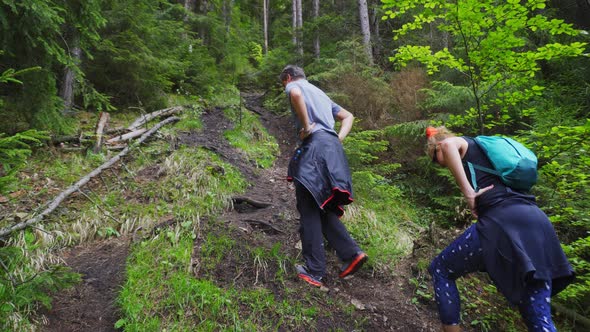 Extreme Climbing Activity By Hikers On The Mountain Range Of Carpathians in Liptov, Slovakia. Low An