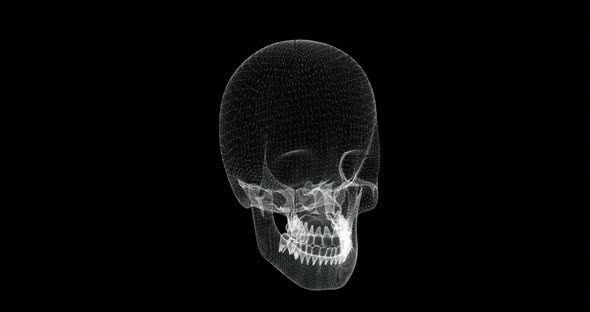 Skull Hologram