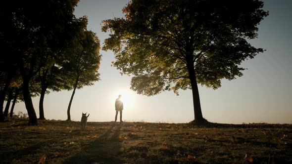 Against the Background of the Bright Orange Sunset Sky Silhouettes of a Man with a Dog During