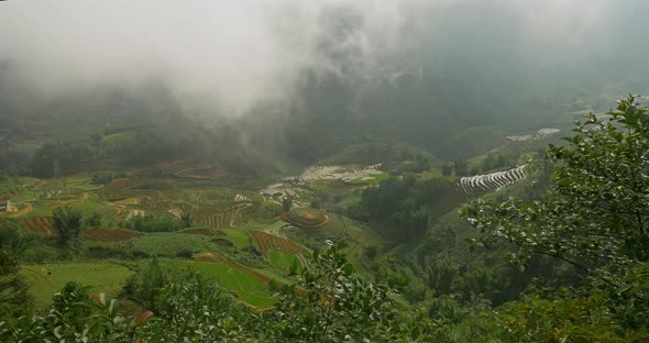 Terraced Rice Paddies In Northern Vietnam