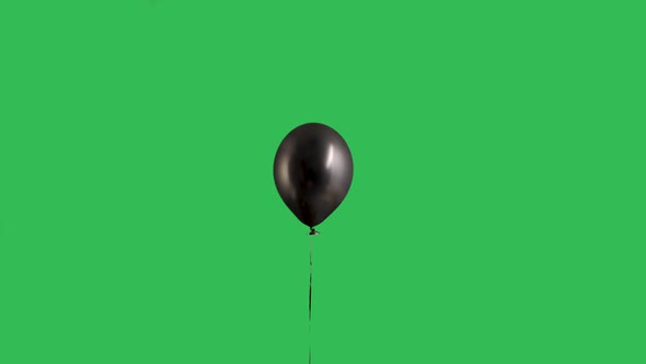 Black Balloon Hanging in the Air Against the Background of a Green Screen Chroma Key