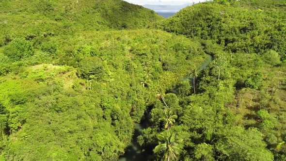 Aerial view of Bojo River towards the Tanon Strait, Aloguinsan, Philippines.