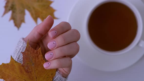 Woman Showing Hands with Beautiful Nude Manicure Holding Autumn Leaves