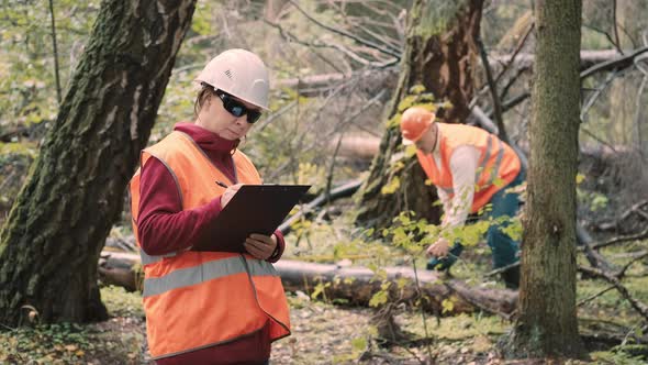 Woman and Man Ecologists Measure and Document Damage to Forest From Hurricane