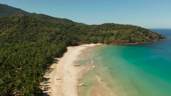 Tropical Beach with White Sand View From Above