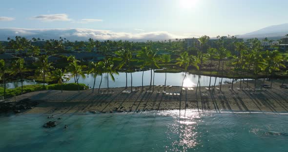 Palm Trees On Beach