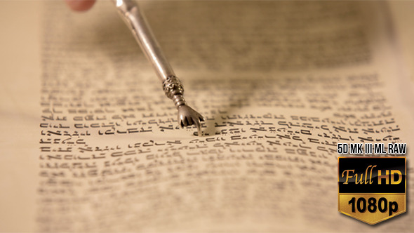 Reading of the Torah Close Up