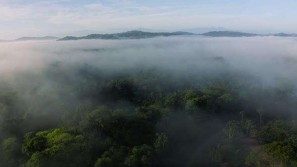 Aerial Drone View of Misty Rainforest in Costa Rica, Above the Clouds and Trees in Misty Landscape w