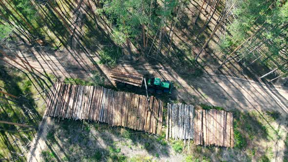 Tractor Puts Tree Trunks in Stacks. Environmental Problem Deforestation, Logging.