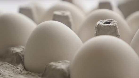 White chicken eggs  packed close-up tilting footage