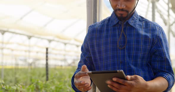 Man using digital tablet in blueberry farm 4k
