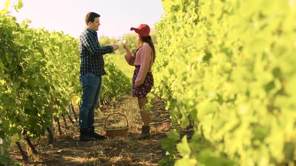 Caucasian Couple Clinking Glasses in a Vineyard