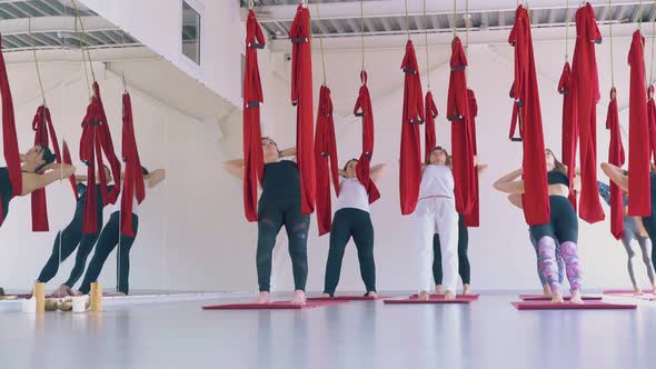 Women Stand in Tadasana Modern Fly Yoga Pose Using Hammocks