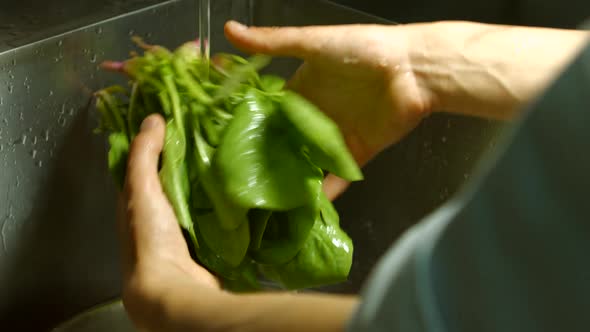 Male Hands Washing Spinach.