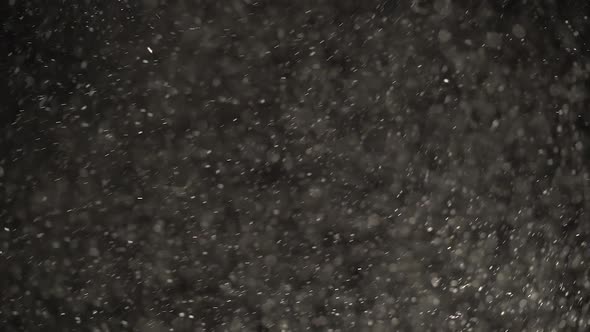 Floating White Dust Particles Are Glittering on a Black Background.