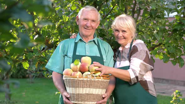 Happy Gardeners Holding Apple Basket.